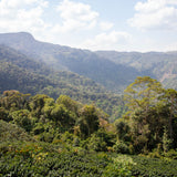 Bolivia Sol de Manaña