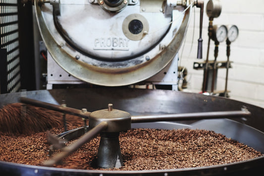 How specialty coffee is processed