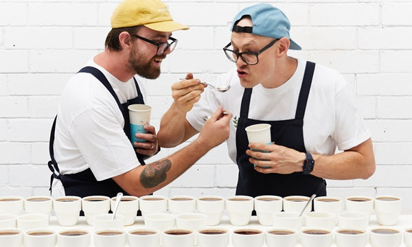 A Step-by-Step Guide to Coffee Cupping