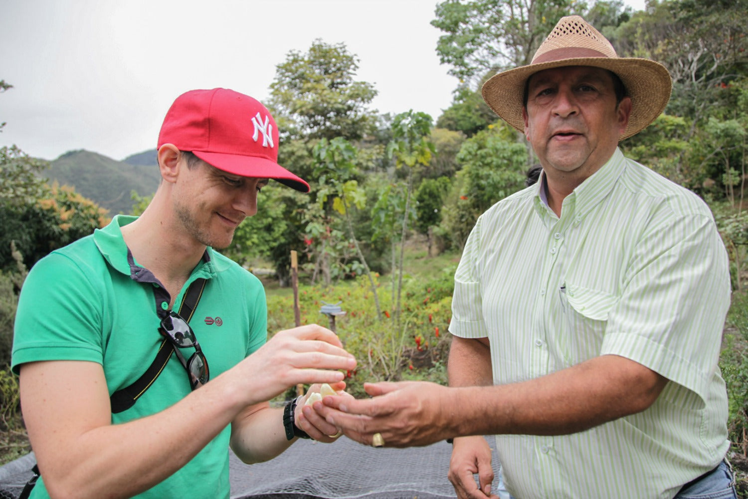 Visiting the Hato Viejo farm in Colombia