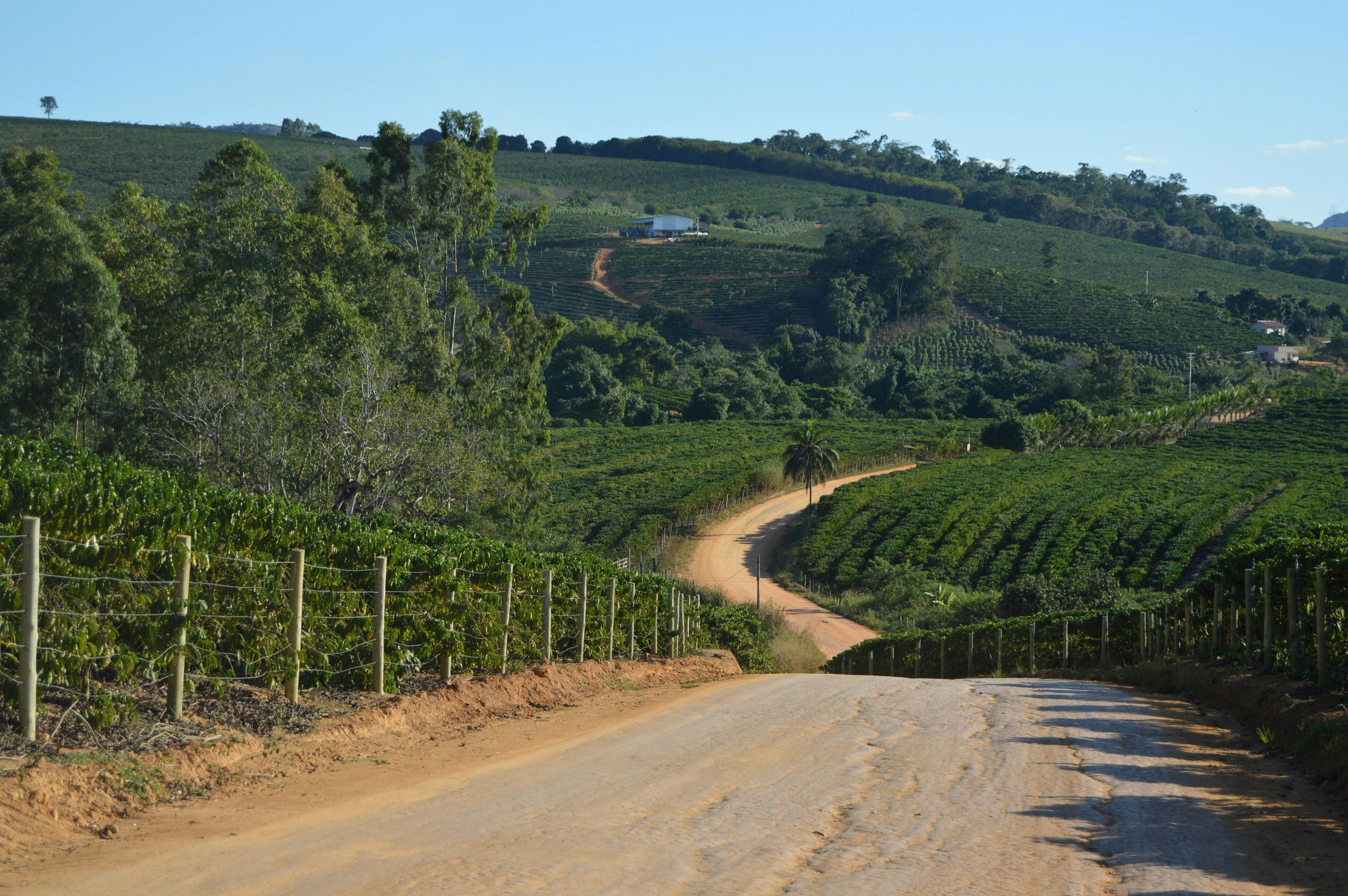 Single Origin Subscriptions - Roaster's Choice