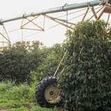 Brazil Fazenda Progresso