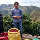 Bolivia Floripondio