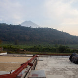 Guatemala Hacienda Carmona