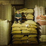 Brazil Fazenda Progresso