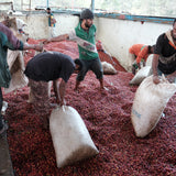 Papua New Guinea Baroida Estate