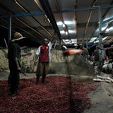 Papua New Guinea Baroida Estate