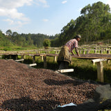 Burundi Gahahe