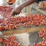 Burundi Gahahe
