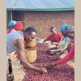 Ethiopia Ela Tenacha