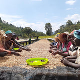 Ethiopia Bombe