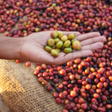 Ethiopia Bombe