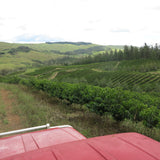 Papua New Guinea Baroida Estate