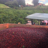 Costa Rica Hacienda La Union