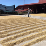 Costa Rica Hacienda La Union