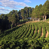 Costa Rica Hacienda La Union