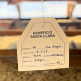 Guatemala Santa Clara Gesha Honey