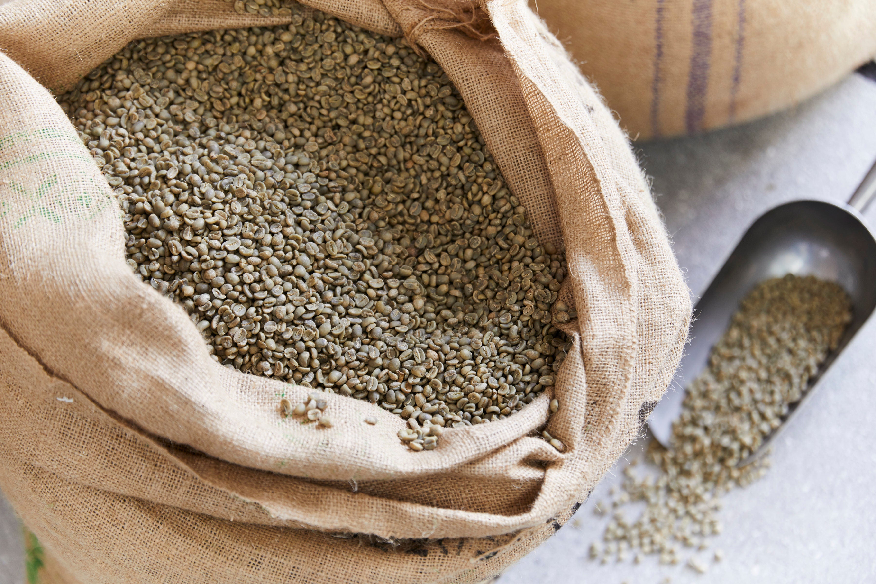 White Horse Coffee Roasters Buy Coffee Beans Online